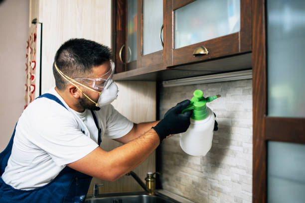 Best Pest Control Near Me in Needville, TX