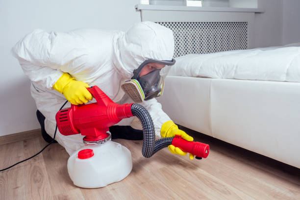 Best Pest Removal Services  in Needville, TX