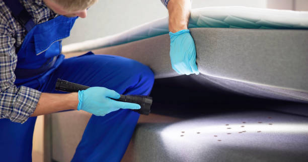Best Exterminator Services  in Needville, TX