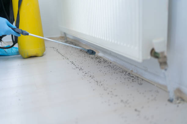 Best Residential Pest Control  in Needville, TX